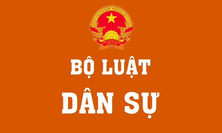 boluatdansu